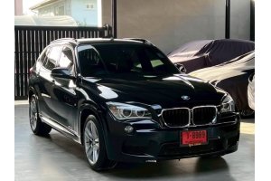 รูปที่ 1